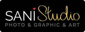 Sani Studio logo 500px - 404 page